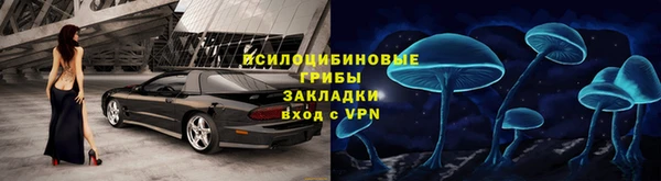 прущие крисы Абинск