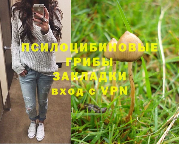 синтетический гашиш Абдулино