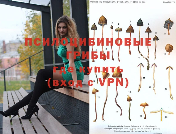 каннабис Михайловск